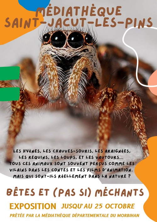 Bêtes et pas si méchants web