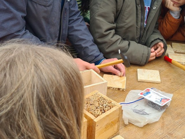 2023 - Refuge à insectes